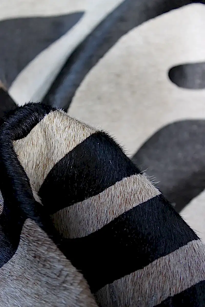 Zebra Desen Holstein Dana Postu