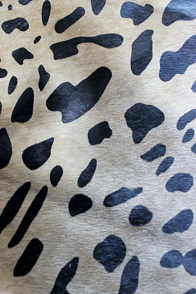 Leopar Desen Holstein Dana Postu